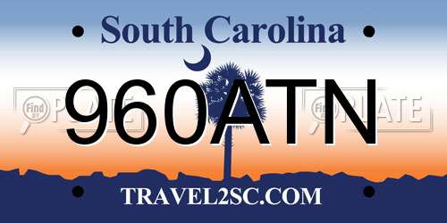 960ATN South Carolina License Plate