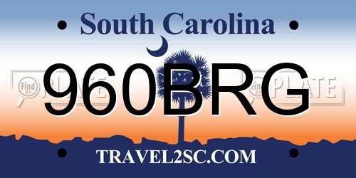 960BRG South Carolina License Plate