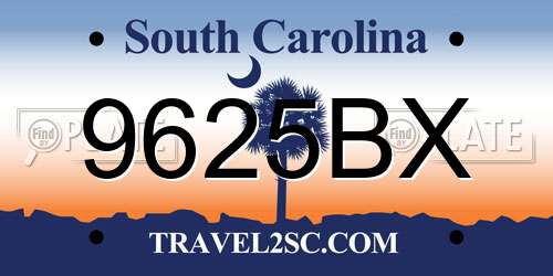 9625BX South Carolina License Plate