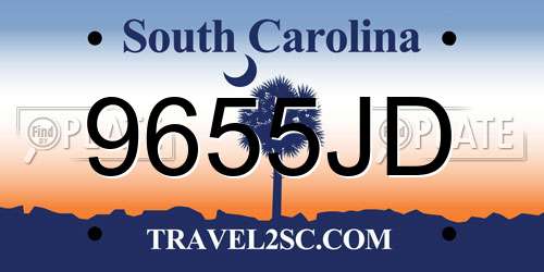 9655JD South Carolina License Plate