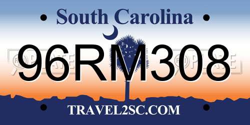 96RM308 South Carolina License Plate