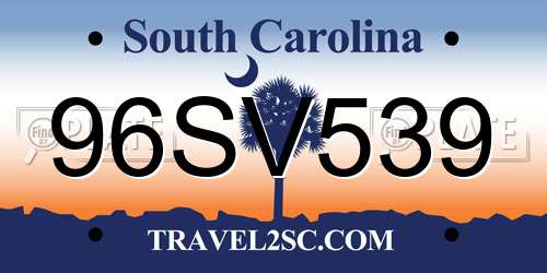 96SV539 South Carolina License Plate