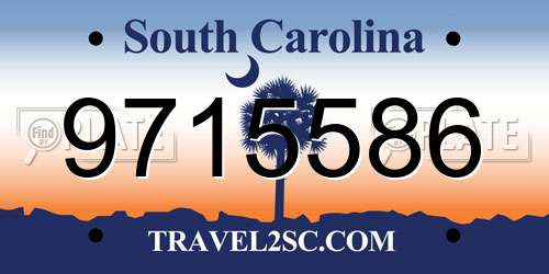 9715586 South Carolina License Plate