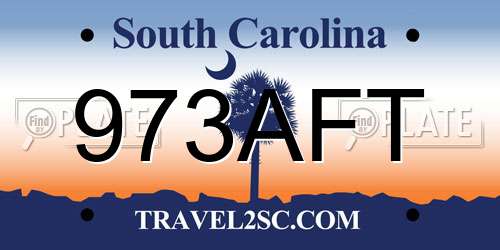 973AFT South Carolina License Plate
