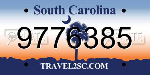 9776385 South Carolina License Plate