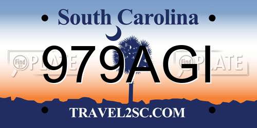 979AGI South Carolina License Plate