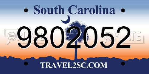 9802052 South Carolina License Plate