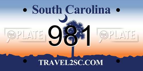 981 South Carolina License Plate