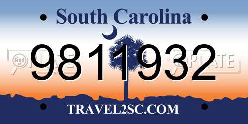 9811932 South Carolina License Plate