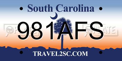 981AFS South Carolina License Plate