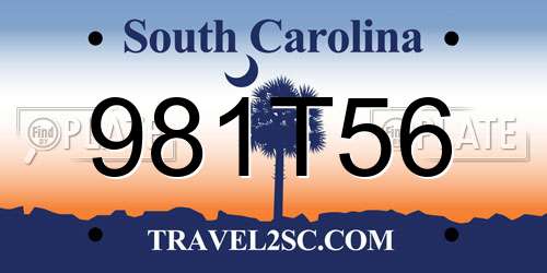981T56 South Carolina License Plate