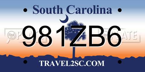 981ZB6 South Carolina License Plate