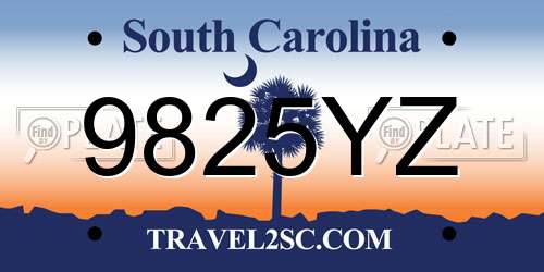 9825YZ South Carolina License Plate