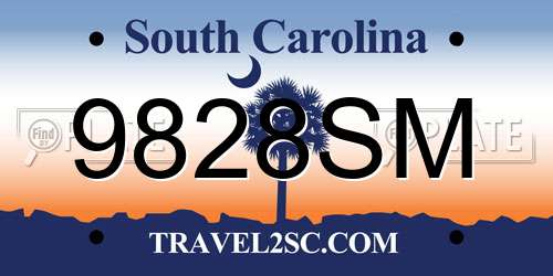 9828SM South Carolina License Plate