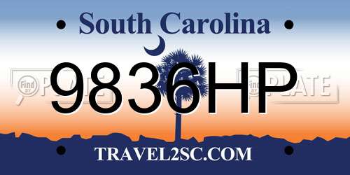 9836HP South Carolina License Plate