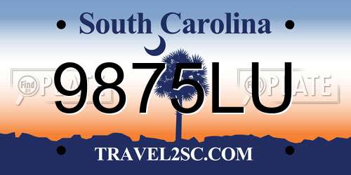 9875LU South Carolina License Plate