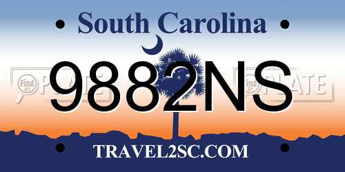 9882NS South Carolina License Plate