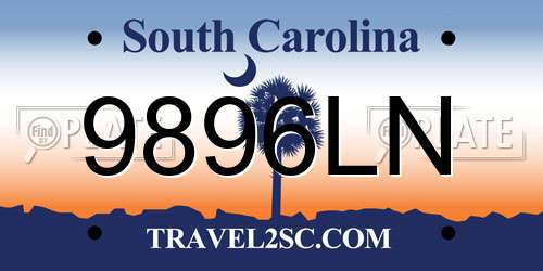 9896LN South Carolina License Plate