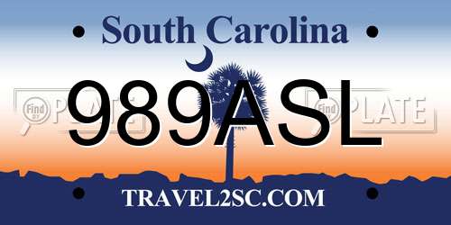 989ASL South Carolina License Plate