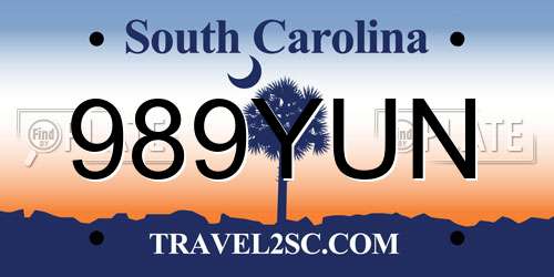 989YUN South Carolina License Plate