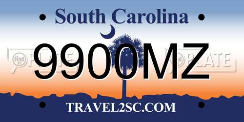 9900MZ South Carolina License Plate