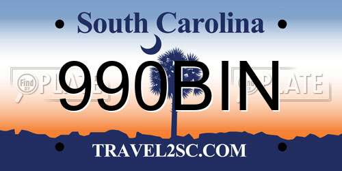 990BIN South Carolina License Plate