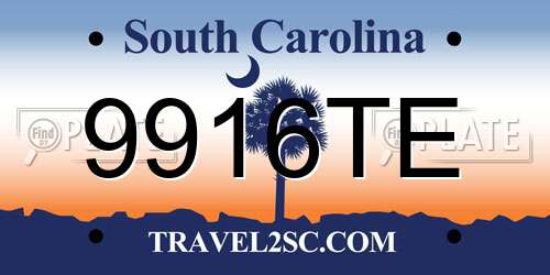 9916TE South Carolina License Plate