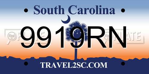 9919RN South Carolina License Plate