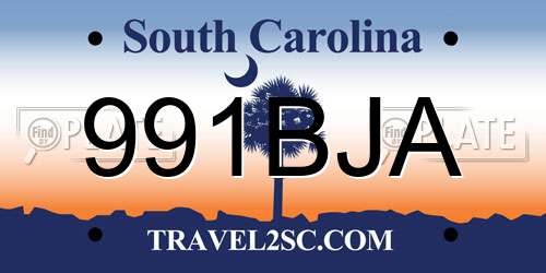 991BJA South Carolina License Plate