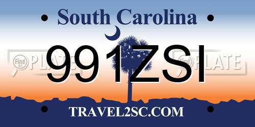 991ZSI South Carolina License Plate