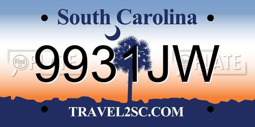 9931JW South Carolina License Plate