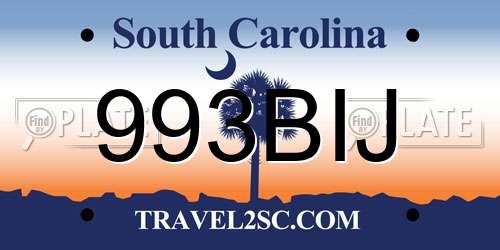 993BIJ South Carolina License Plate