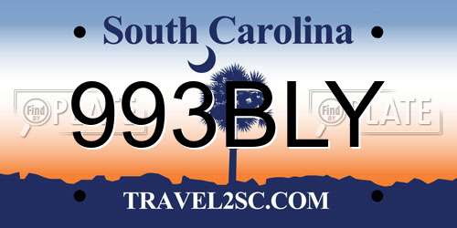 993BLY South Carolina License Plate