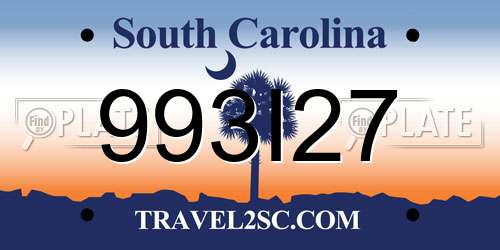 993I27 South Carolina License Plate