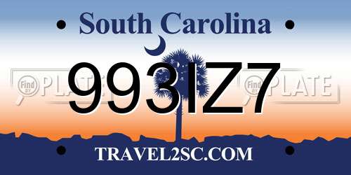 993IZ7 South Carolina License Plate