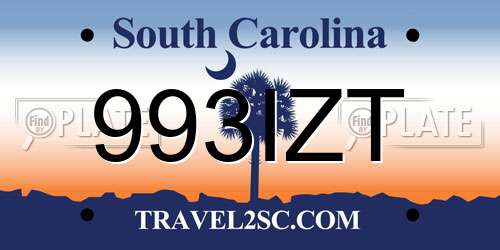 993IZT South Carolina License Plate