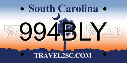 994BLY South Carolina License Plate