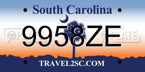 9958ZE South Carolina License Plate