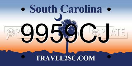 9959CJ South Carolina License Plate