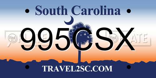 995CSX South Carolina License Plate