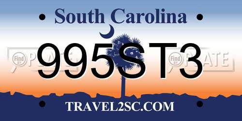 995ST3 South Carolina License Plate
