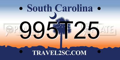 995T25 South Carolina License Plate