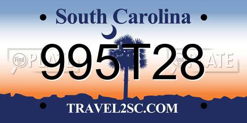 995T28 South Carolina License Plate