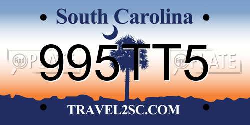 995TT5 South Carolina License Plate