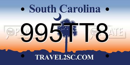 995TT8 South Carolina License Plate