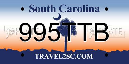 995TTB South Carolina License Plate