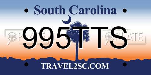 995TTS South Carolina License Plate
