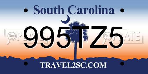 995TZ5 South Carolina License Plate