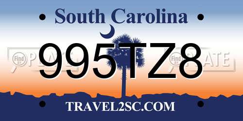 995TZ8 South Carolina License Plate