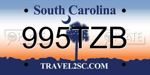 995TZB South Carolina License Plate
